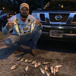 Meet your Posher, Timothy